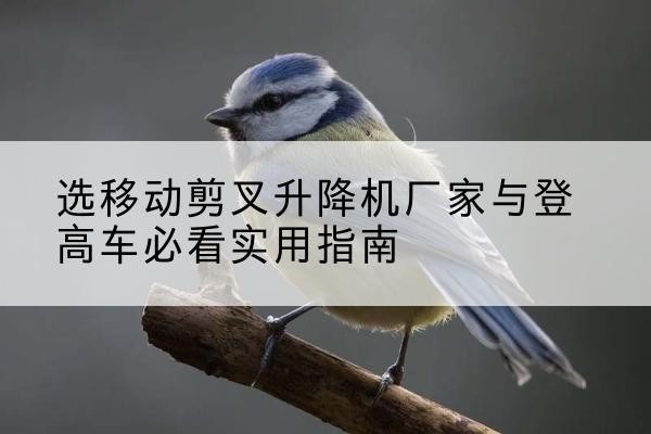 武威电动升降机厂家-选移动剪叉升降机厂家与登高车必看实用指南