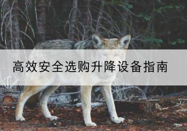 武威升降货梯厂家推荐-*安全选购升降设备指南