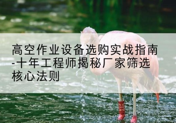 武威剪叉式升降机厂家-高空作业设备选购实战指南-十年工程师揭秘厂家筛选核心法则
